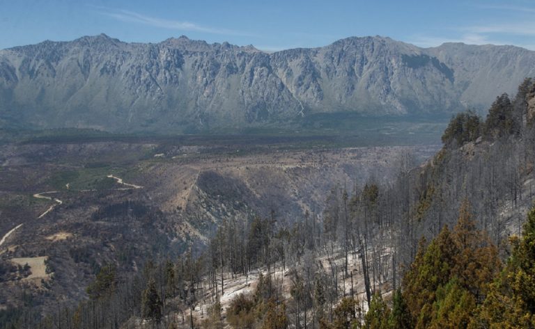 La provincia de Río Negro y el INTA recuperarán el bosque patagónico incendiado en El Bolsón