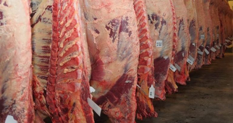 El Gobierno suspende por 30 días las exportaciones de carne vacuna ante la suba de los precios