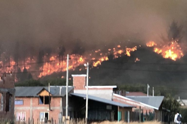 Incendios arrasaron bosques y viviendas en Chubut. Cabandié denunció:  «Son intencionales»