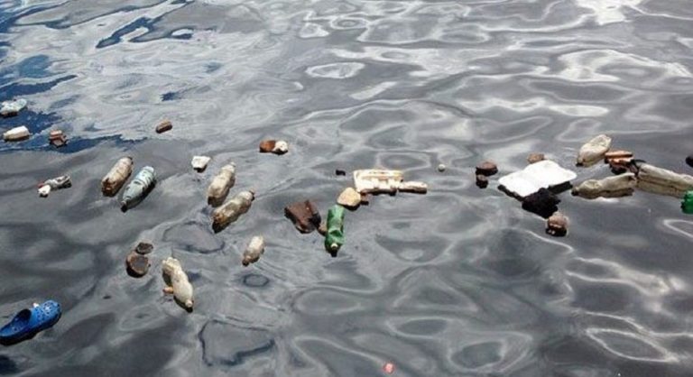 Contaminación en el mar: detectaron microplásticos en 3 marcas de sales finas marinas