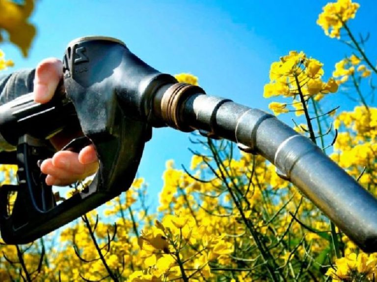 La Ley de Biocombustibles se debate en Diputados