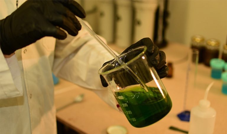 Científicos marplatenses diseñan plásticos que eliminan virus, bacterias y hongos