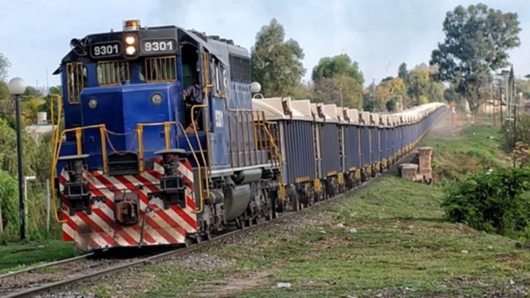 Primer semestre récord para Trenes Argentinos Cargas: 73% más de toneladas que en 2019