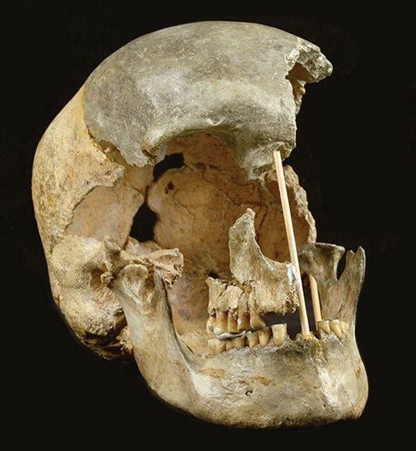 Los neandertales resultaron ser parientes cercanos