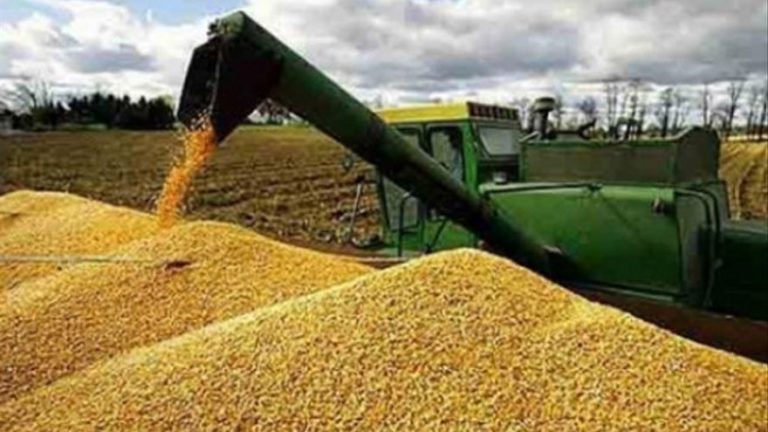 Cuáles son la cerealeras que exportan más granos desde Argentina