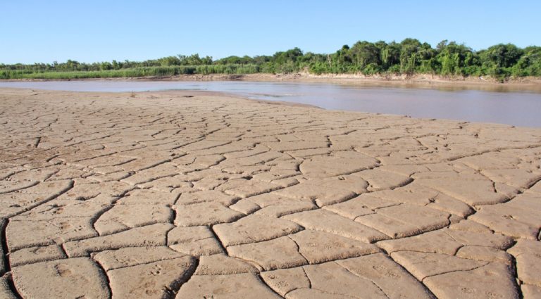 Las sequías aumentaron en todo el mundo un 29% en los últimos 20 años
