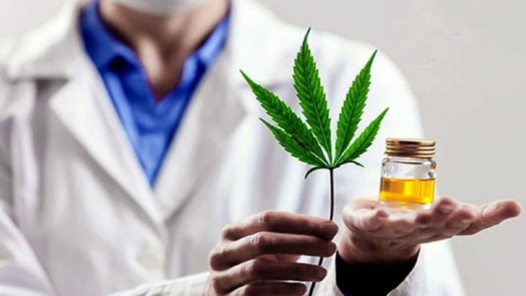 «Sólo el 17,6% de las personas que usan cannabis lo hacen con fines medicinales»