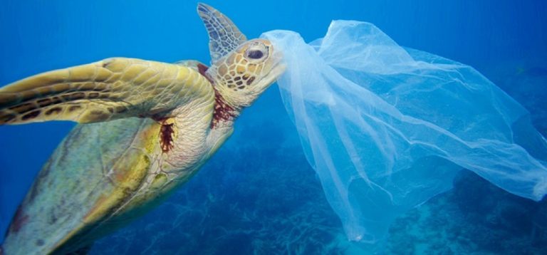 Contaminación en las playas bonaerenses: más del 84 % de los residuos identificados son plásticos