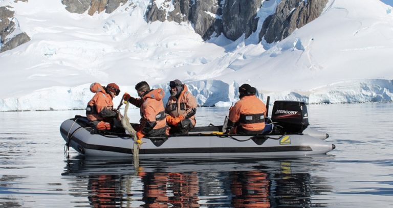 Investigan el impacto del cambio climático y la sobrepesca en los peces del Océano Antártico