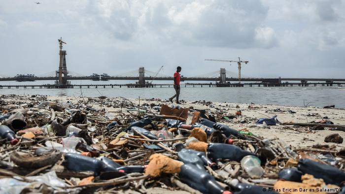 El calor extremo y la contaminación por plásticos están destruyendo la vida marina en los océanos