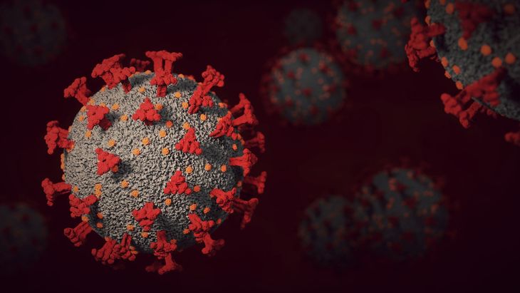 La OMS advierte sobre dos nuevos linajes de la variante Ómicron del Coronavirus
