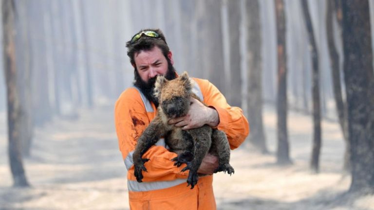 La ONU advierte que los incendios forestales devastadores irán aumentando en todo el mundo