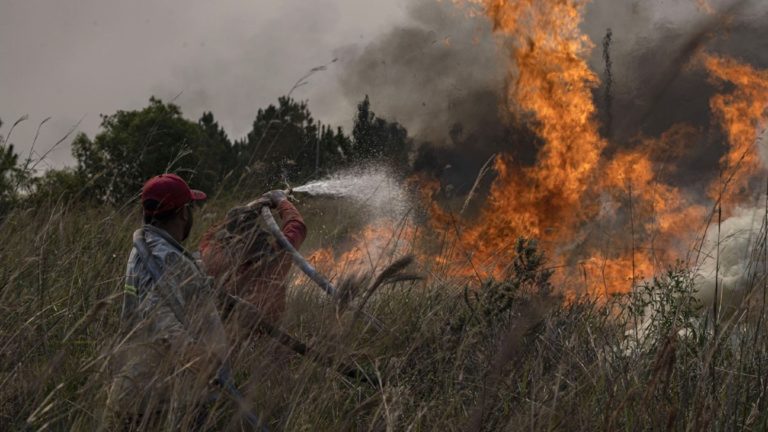 Según el INTA, en Corrientes se incendiaron más de 785 mil hectáreas: el 9% del territorio provincial