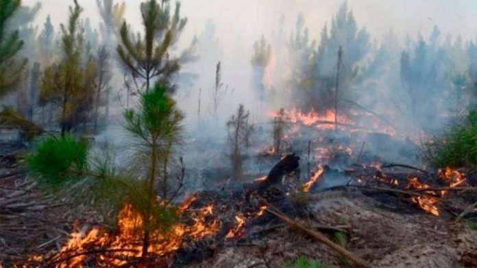 El Gobierno ofrece créditos bonificados a los productores afectados por los incendios
