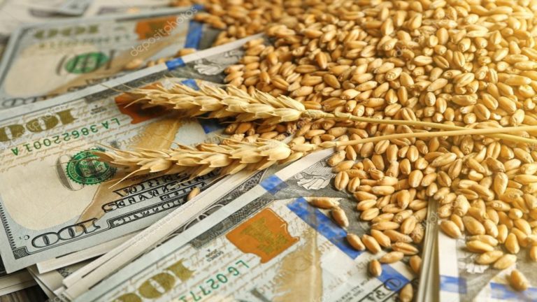 El gobierno lanzó un fideicomiso para moderar los aumentos en el precio del trigo.