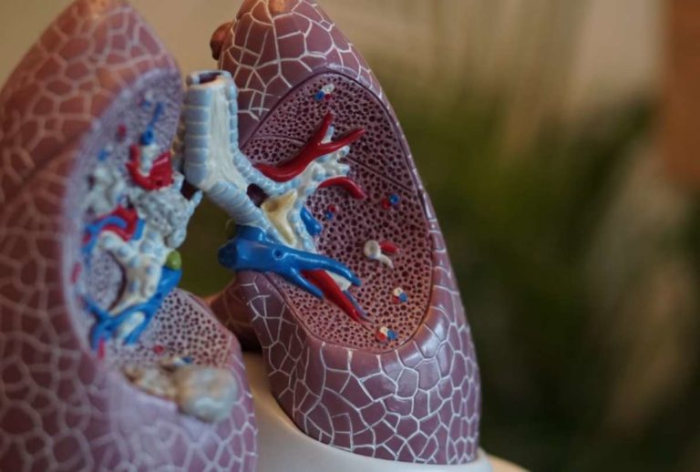 Crean un «robot serpiente» para tratar el cáncer de pulmón