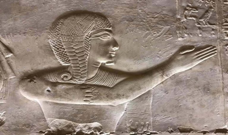 Arqueólogos argentinos inician una colecta virtual para excavar una tumba del Antiguo Egipto – Video