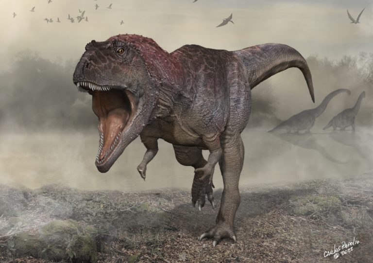 Presentaron un nuevo ejemplar de dinosaurio gigante, encontrado en la Patagonia