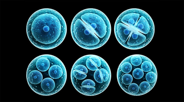 Resultados de ensayos en Japón aumentan el entusiasmo por las células madre «pluripotentes»
