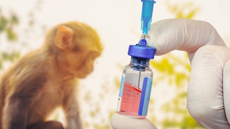 Inician en EEUU ensayos clínicos de una vacuna contra la viruela del mono