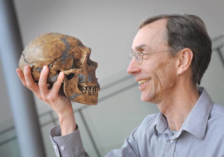 Nobel de Medicina y Fisiología 2022 para quien revolucionó la historia del Homo Sapiens