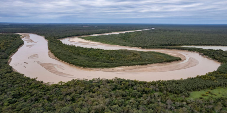 El bosque nativo del Gran Chaco está  muriendo. AgendAR avisa los costos para el país