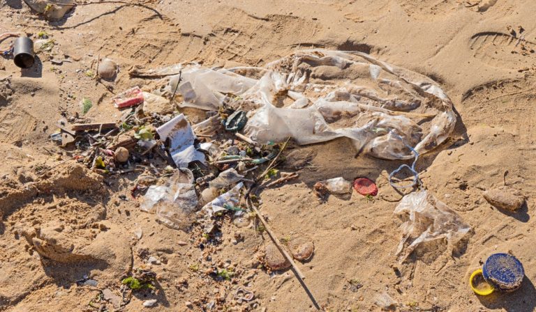 El plástico está presente en 7 de cada 10 residuos en la costa bonaerense