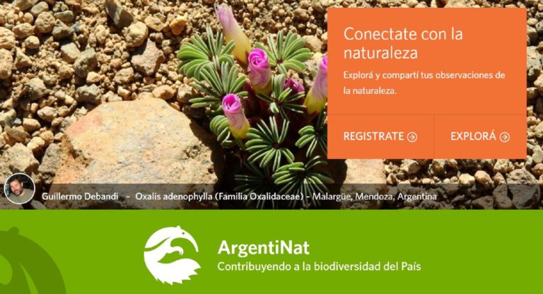 La ciencia ciudadana alcanza un millón de observaciones de vida silvestre en Argentina