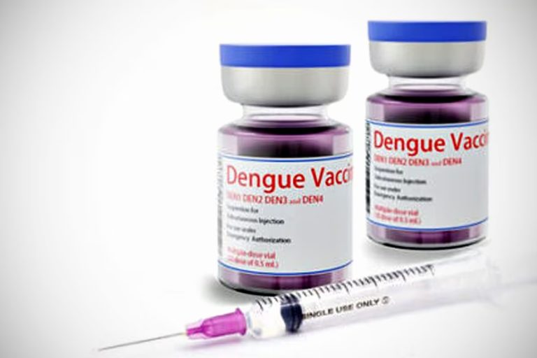 La ANMAT aprobó la vacuna Japonesa contra el dengue