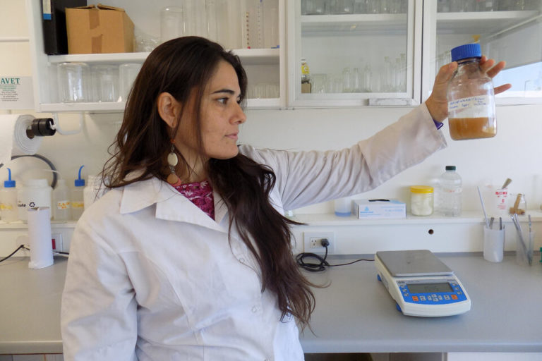 Investigadoras de la UNSAM desarrollan plásticos degradables para aplicaciones médicas