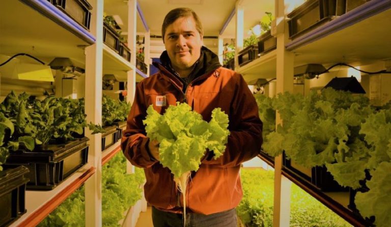 Con producción hidropónica cultivan vegetales frescos en la Antártida Argentina