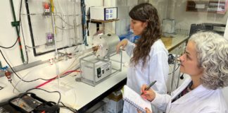 "Ya logramos un primer objetivo, que es producir por primera vez en el país hexafluorofosfato de litio", explica la doctora en Química Ana Bohé.