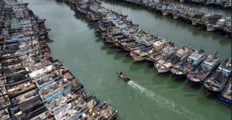 Autoridades regionales brasileras acusan a pesqueros chinos por la pesca ilegal