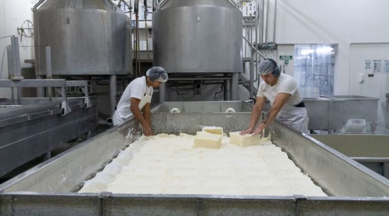 Una Pyme argentina con el apoyo del INTI desarrolla y exporta queso sin lactosa
