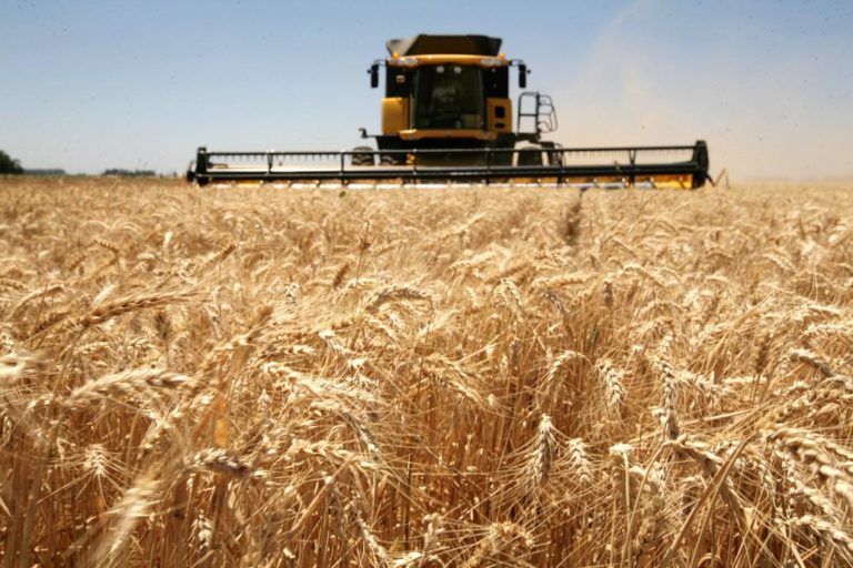 Los precios del trigo se disparan debido a compras de China, informa EE.UU.