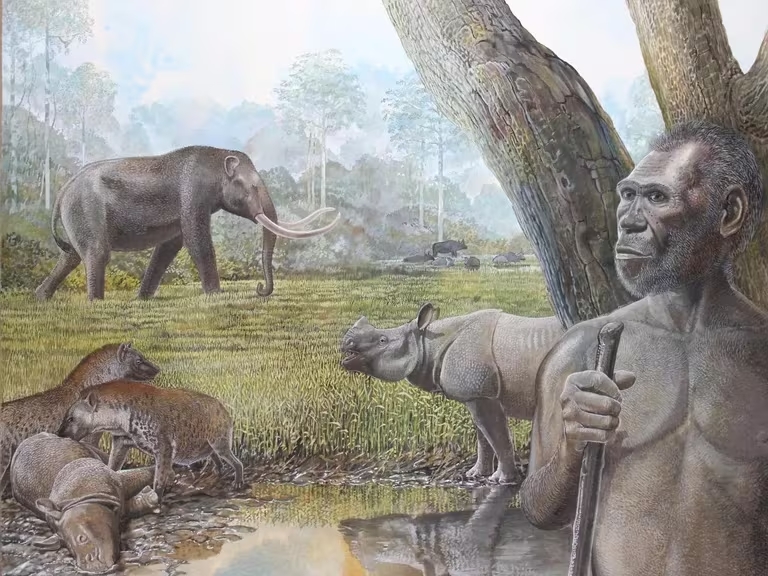 La expansión humana fue la causa principal de la extinción de los grandes mamíferos