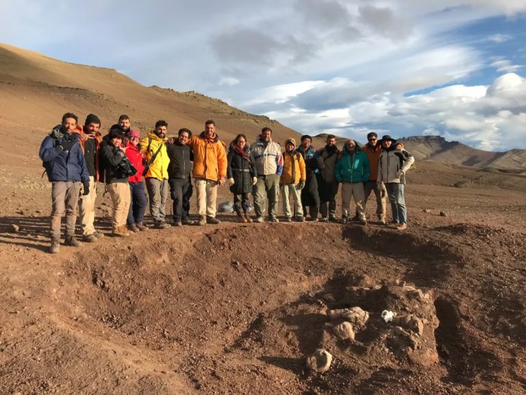 Encuentran en la Patagonia un mamifero que convivió con los dinosaurios