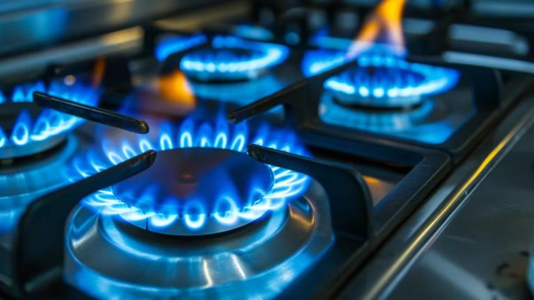Sorprendido por las bajas temperaturas, el gobierno corta el suministro de gas a las industrias y al transporte