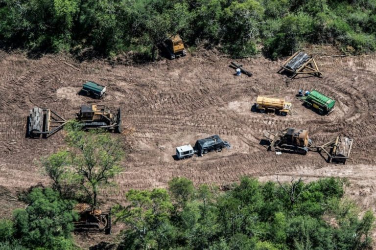 “Creímos que el suelo era indestructible”: Degradación de la tierra en la Argentina