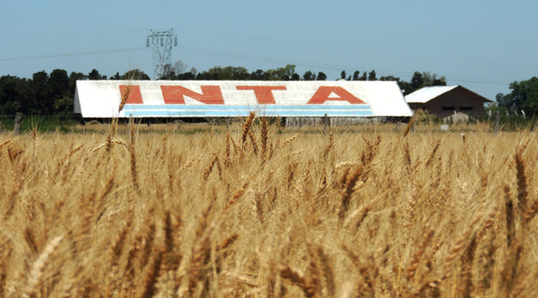 Motosierra en el INTA: cierran una estación experimental en el AMBA (¿negocio inmobiliario?) y 41 agencias de extensión en todo el país