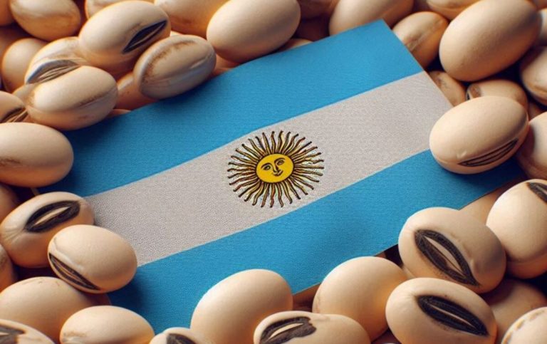 Atraso cambiario: la soja argentina ya no sería competitiva, aún sin retenciones