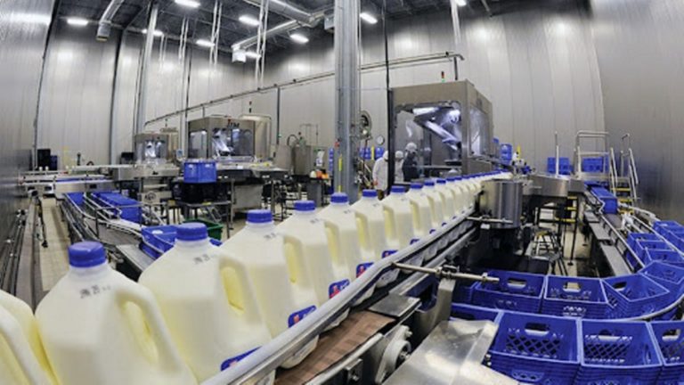 Ranking de la industria láctea: una empresa canadiense superó a La Serenísima en el top
