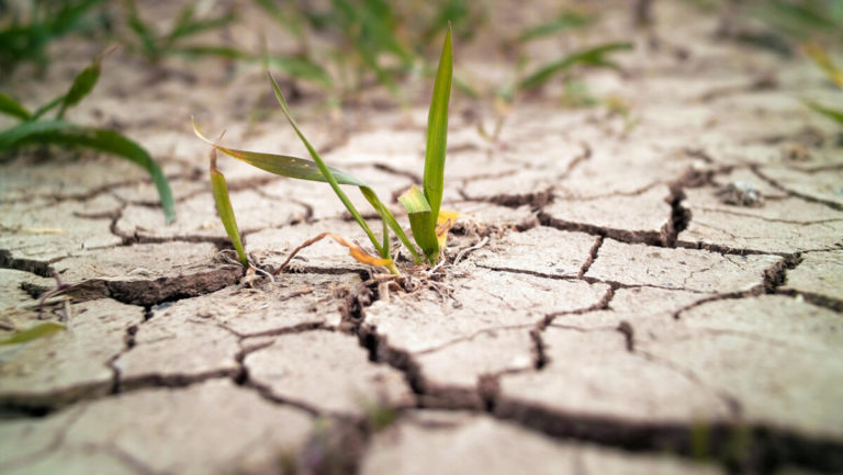 La Tierra pierde agua dulce a un ritmo acelerado desde 2002