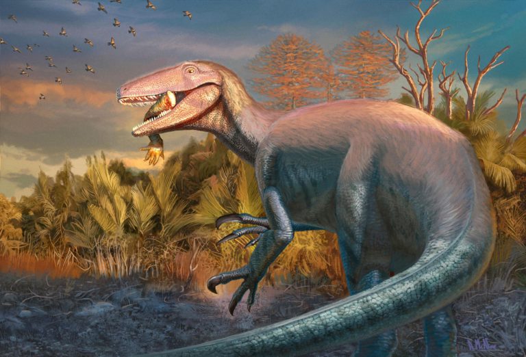 Joaquinraptor casali: el nuevo megarraptor de la Patagonia