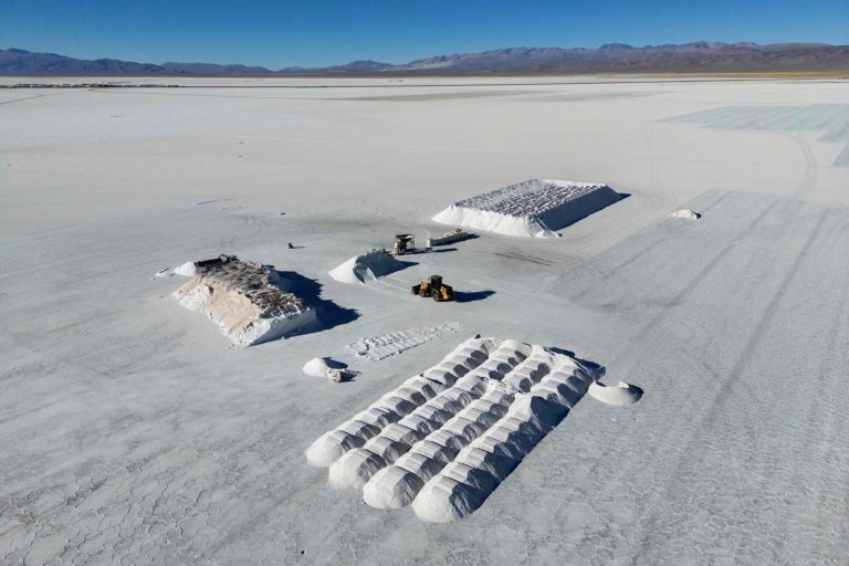 Mapas de las tierras raras y los otros 10 minerales críticos que posee la Argentina