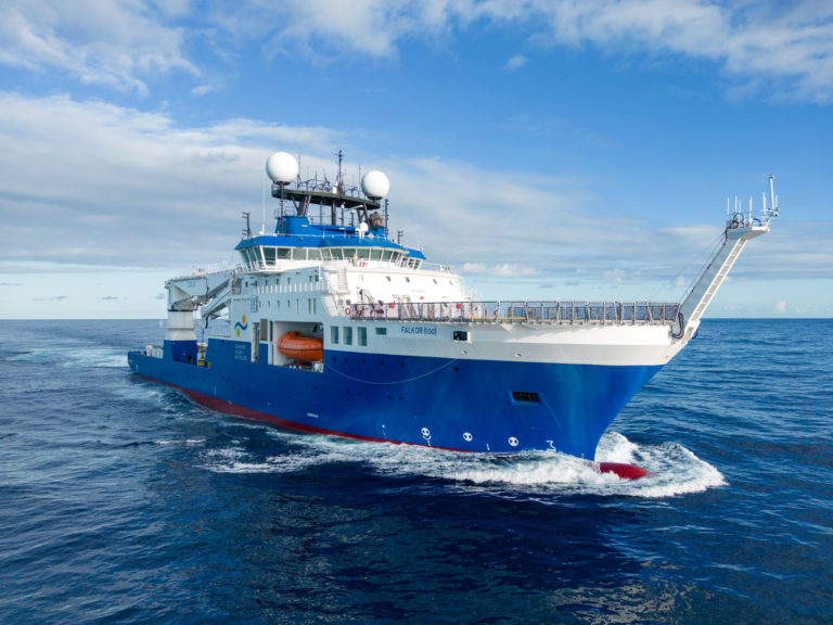 Un nuevo streaming del Conicet muestra las especies del fondo del mar