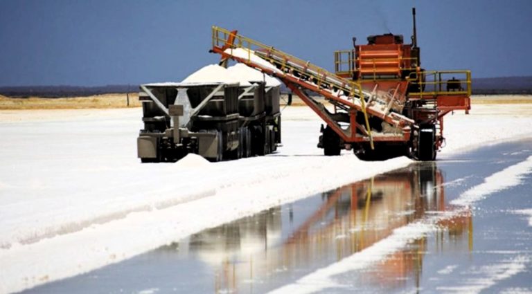 ¿Por qué el litio no se industrializa en la Argentina?