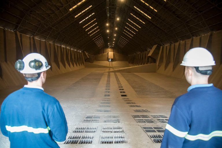 La Unión Europea rechazó una exportación de soja argentina no aprobada en ese mercado