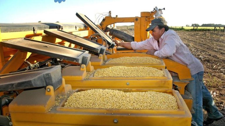 Ley de semillas: productores agrarios rechazan una parte clave del acuerdo comercial con EE.UU.