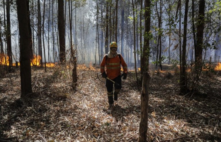 ¿Nos dirigimos realmente hacia un «super» El Niño?
